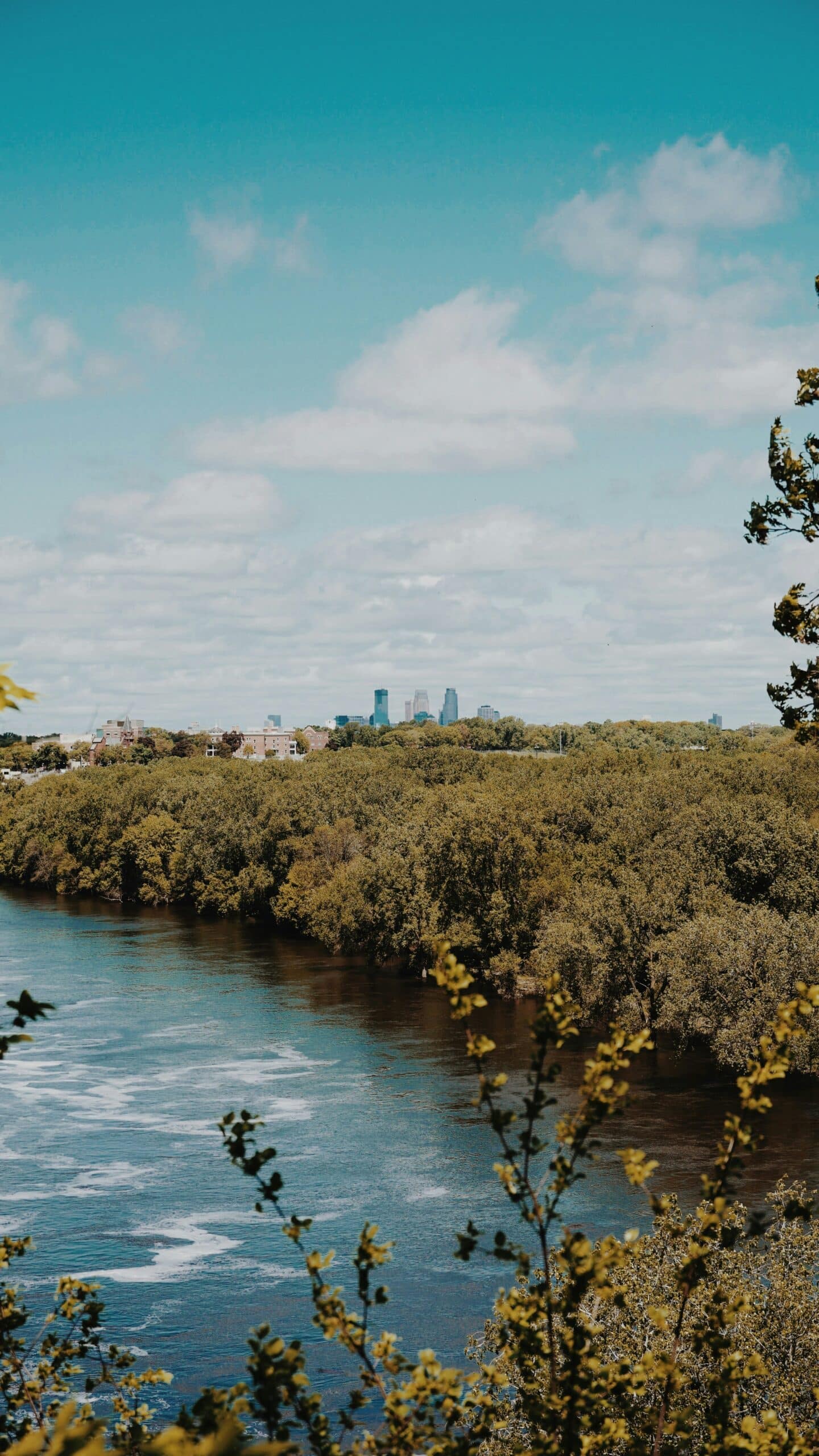 minnesota horizon