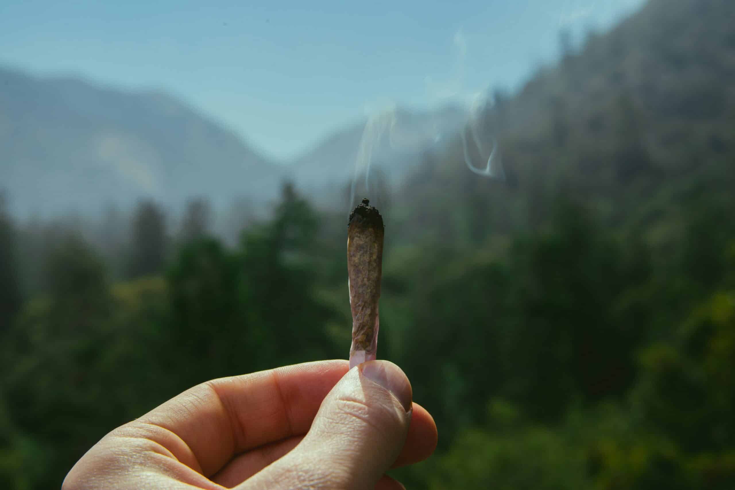 hand holding lit cannabis joint with mountains in background